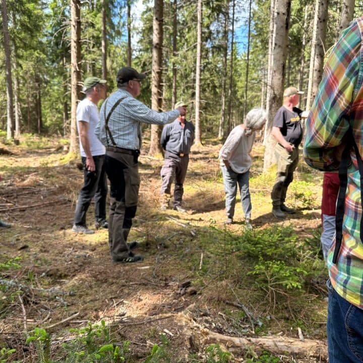 Några personer i skogen som tittar på plantor