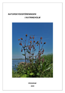 https://katrineholm.naturskyddsforeningen.se/wp-content/uploads/sites/108/2025/05/SNF-Program-2025-Katrineholm.pdf